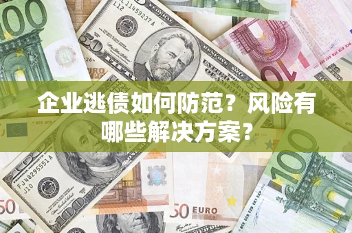 武汉企业逃债如何防范？风险有哪些解决方案？