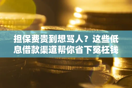 武汉担保费贵到想骂人？这些低息借款渠道帮你省下冤枉钱
