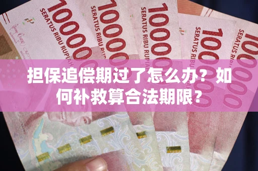 武汉担保追偿期过了怎么办？如何补救算合法期限？