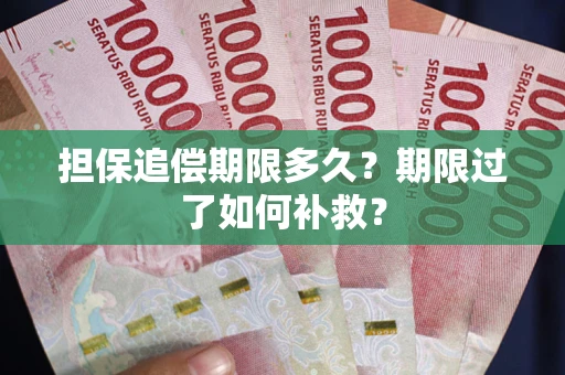 武汉担保追偿期限多久？期限过了如何补救？