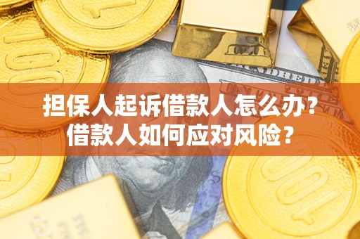 武汉担保人起诉借款人怎么办？借款人如何应对风险？