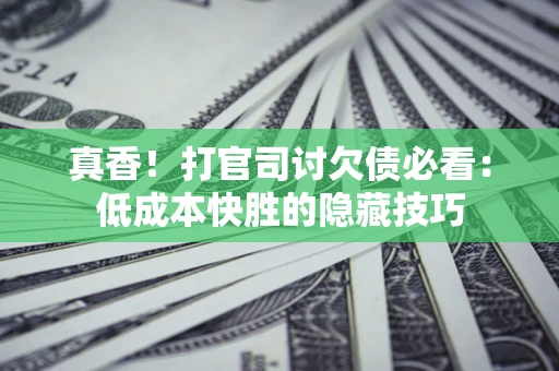 武汉真香！打官司讨欠债必看：低成本快胜的隐藏技巧
