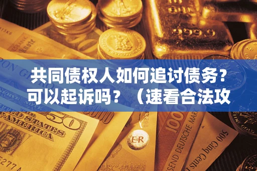 武汉共同债权人如何追讨债务？可以起诉吗？（速看合法攻略）