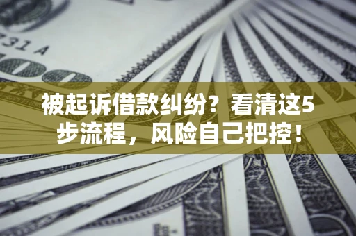 武汉被起诉借款纠纷？看清这5步流程，风险自己把控！